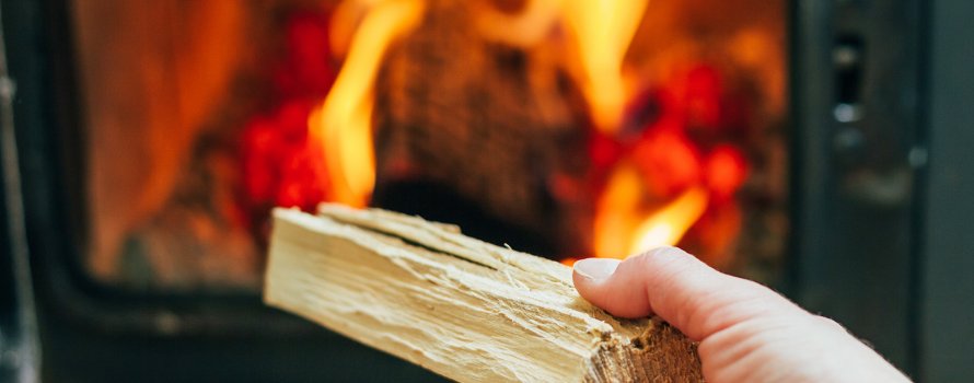 Starta din brasa. Foto.