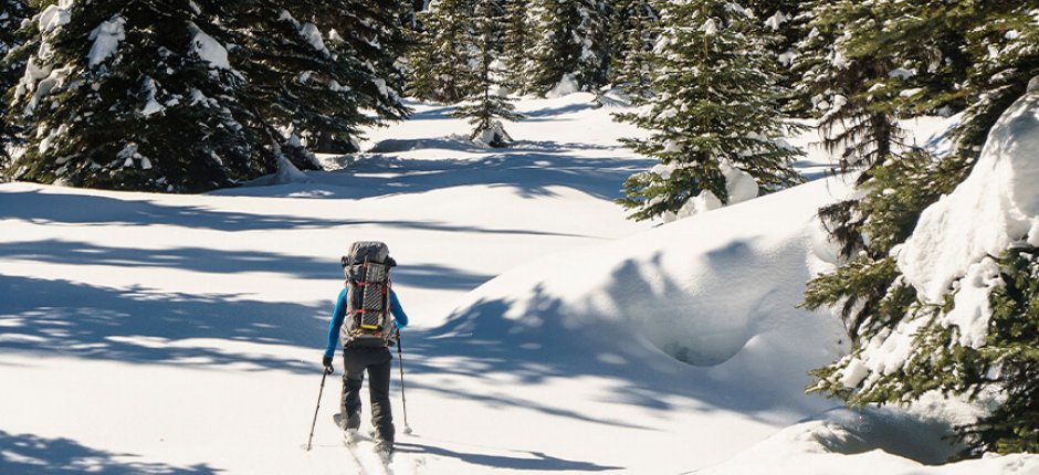 En som åker skidor i skogen